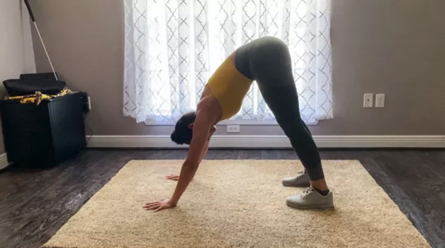 sometric Downward Dog