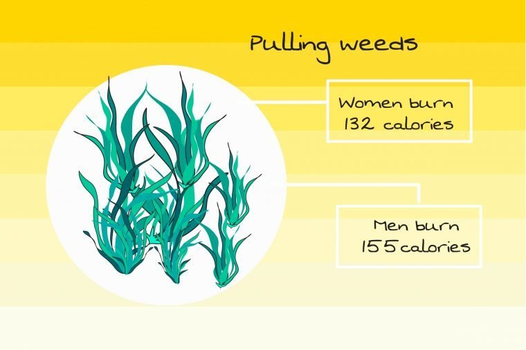 caloric burn while pulling weeds