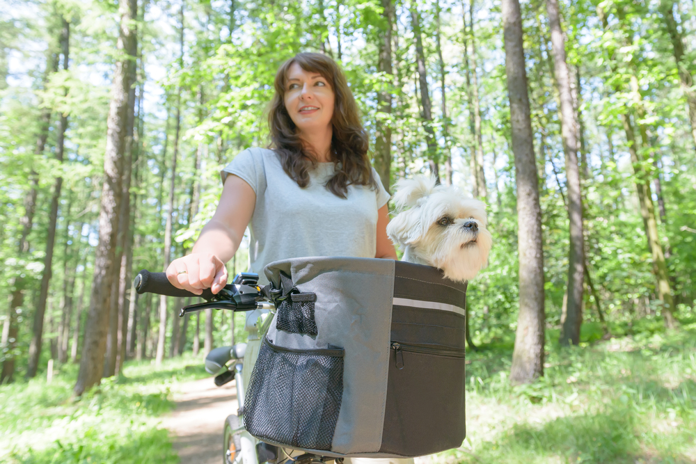 A woman riding her bike with a dog in the front basket on a trail