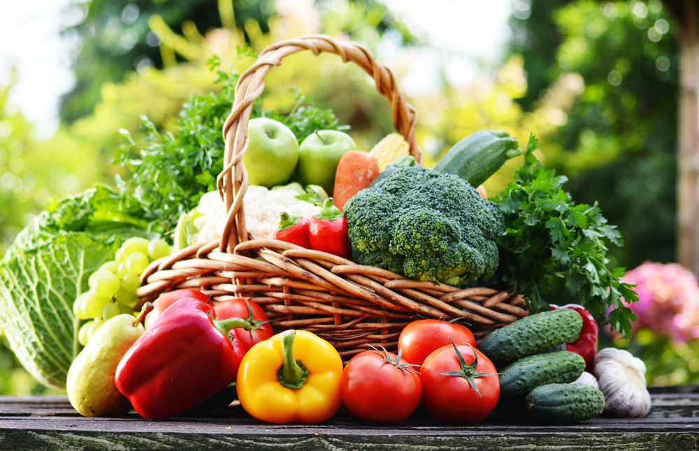 Wicker basket with assorted raw organic vegetables in the garden.