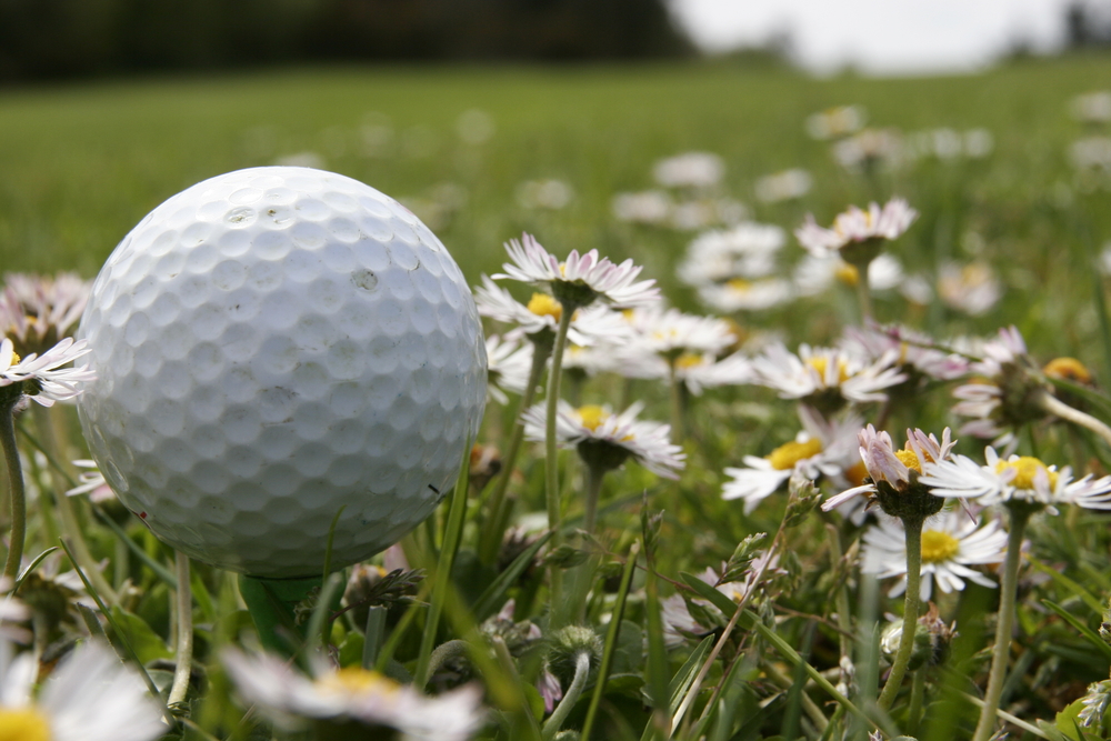 golf ball on a spring day in flowers